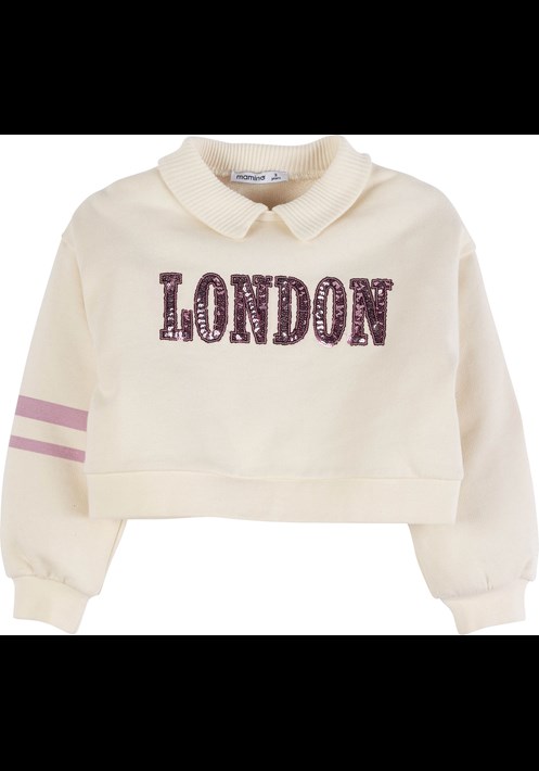 Sweatshirt 17993 2