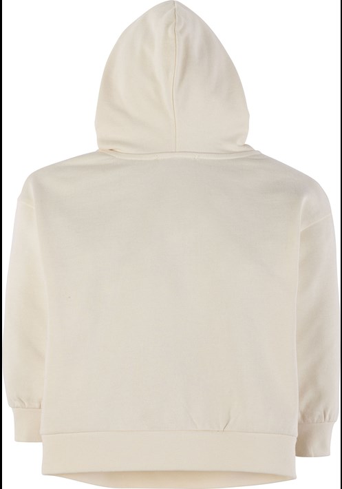 Kapüsonlu Sweatshirt 17757 2