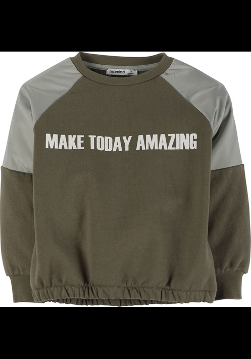 Sweatshirt 17810 2