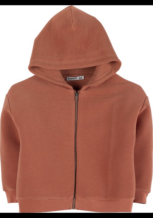Kapüsonlu Sweatshirt 18190 1