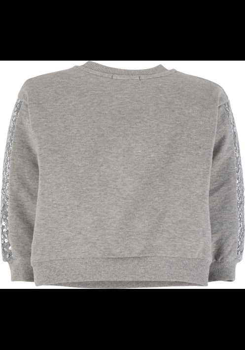 Sweatshirt 17979 2