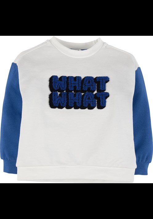Sweatshirt 17753 1