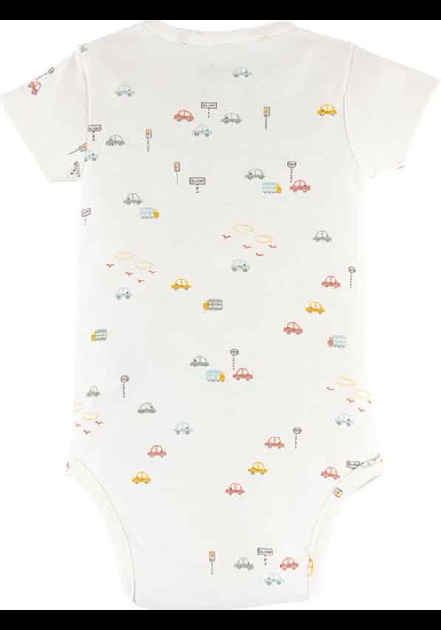 Araba Baskili Body 16262 2