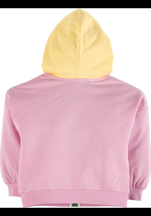 Kapüsonlu Sweatshirt 40021 2