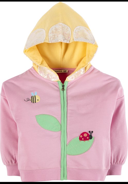 Kapüsonlu Sweatshirt 40021 1